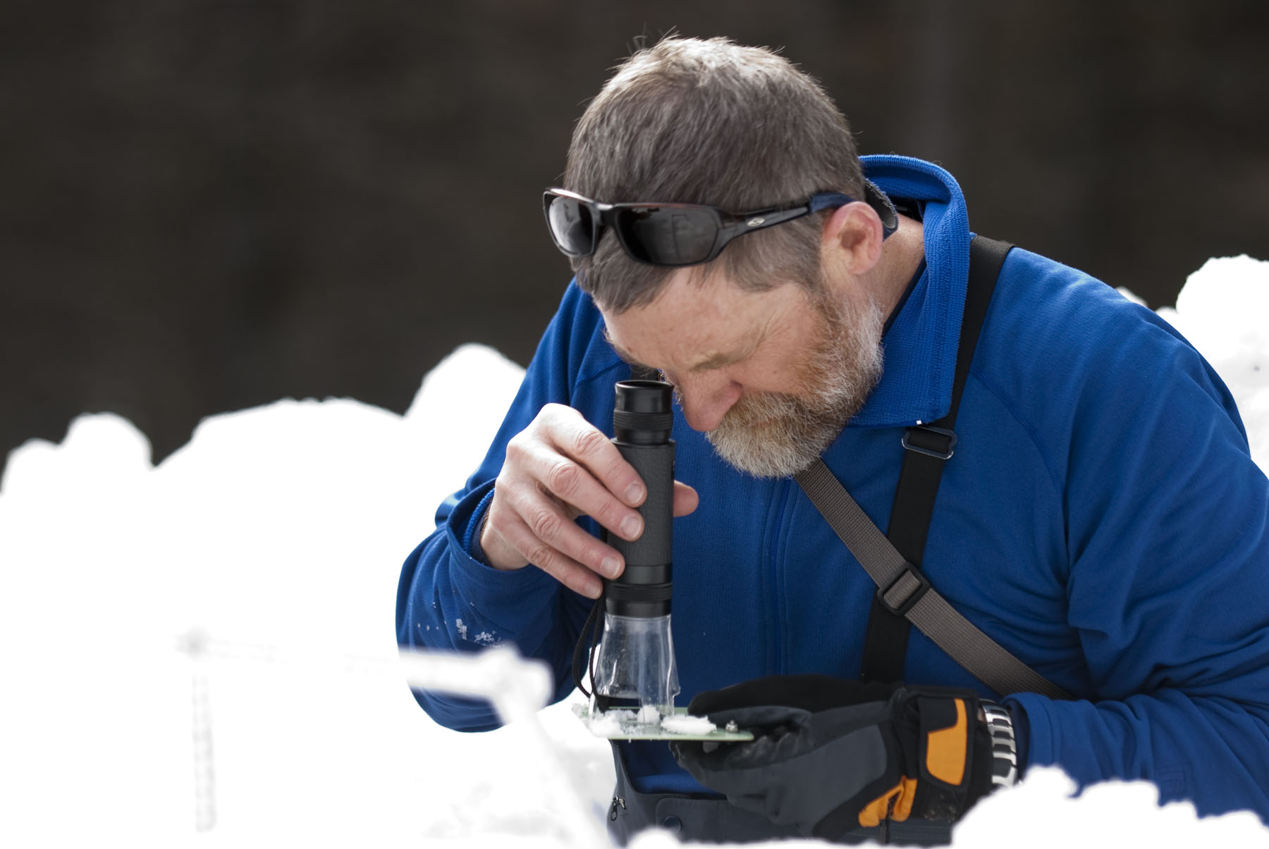 MSU avalanche expert in permanent exhibit in Chicago