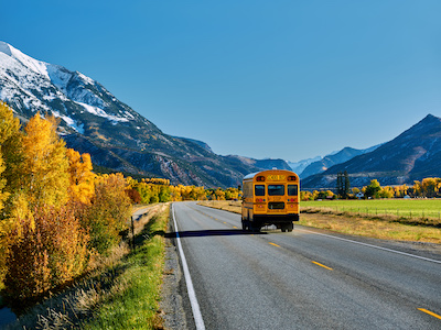 bus photo