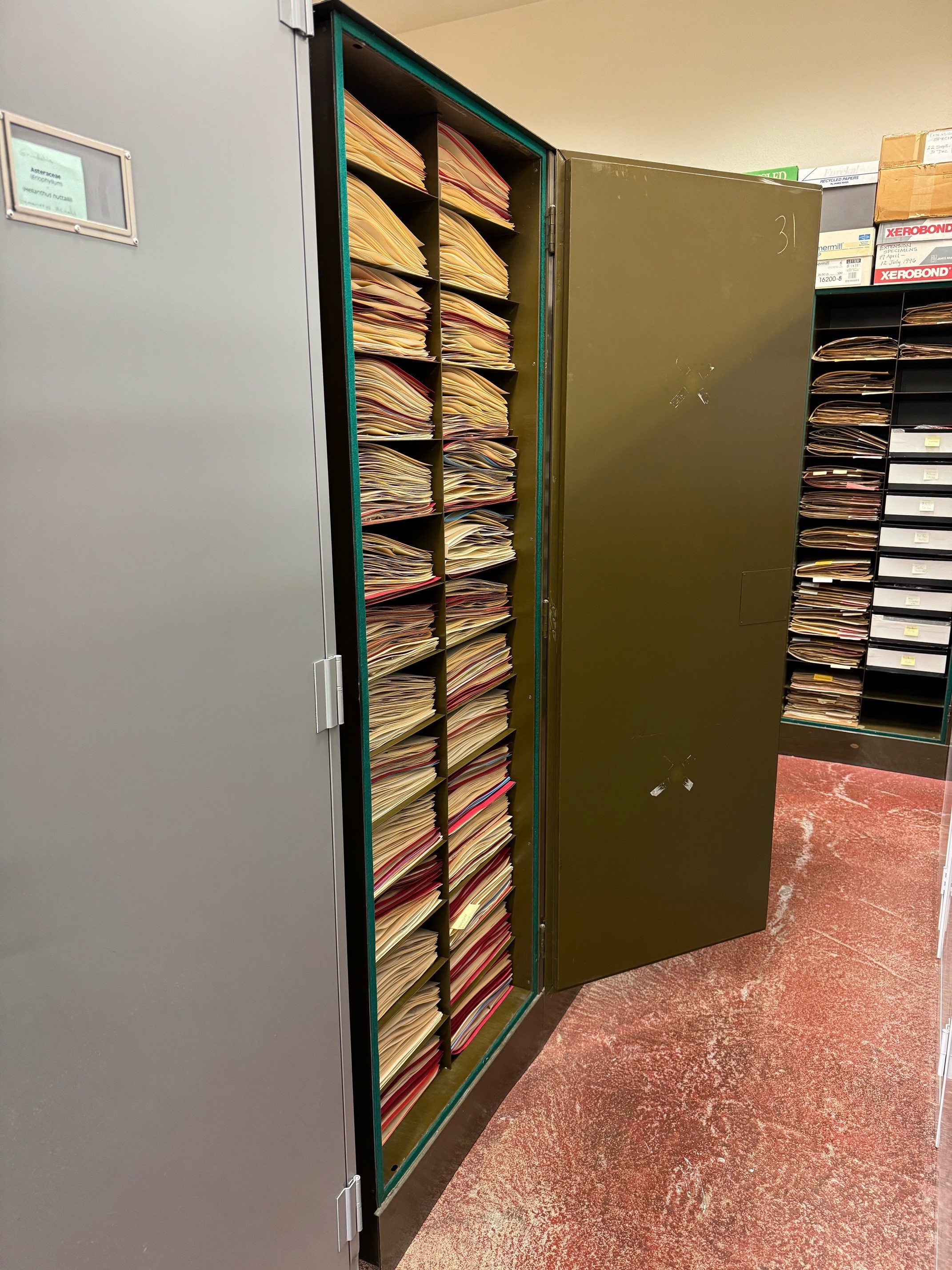 Herbarium cabinet