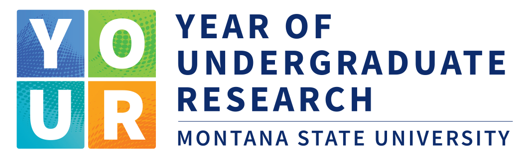 Year of Undergraduate Research logo