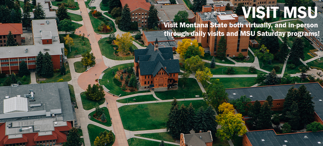 Office Of Admissions - Undergraduate Admissions | Montana State University