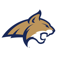 Bobcat icon