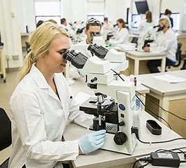 students in white lab coats looking under microscopes