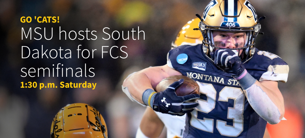 A Montana State University football player in a blue and gold uniform runs with the ball during a game, with the text overlay: 'GO 'CATS! MSU hosts South Dakota for FCS semifinals. 1:30 p.m. Saturday.' | Kelly Gorham/MSU