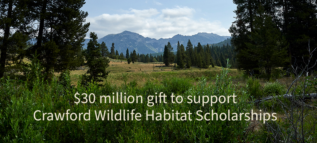 A scenic landscape features green shrubs, pine trees, and open meadows with a mountain range in the background under a partly cloudy sky. White text over the image reads, "$30 million gift to support Crawford Wildlife Habitat Scholarships. | MSU Image