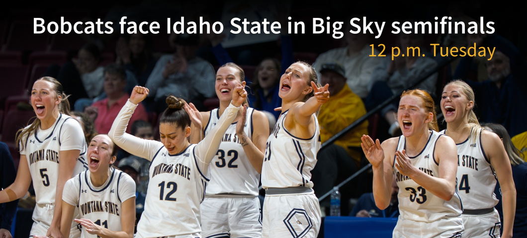 A promotional graphic featuring Montana State University women’s basketball players celebrating on the sidelines, wearing white uniforms with navy and gold accents. The team members are cheering, clapping, and raising their arms in excitement. The backgro | Image from Bobcat Athletics