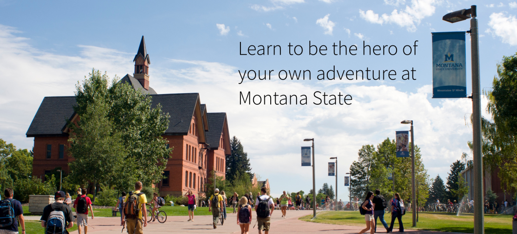 Students walk along a pedestrian mall at a college campus. | MSU