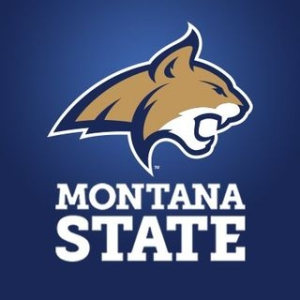 he Montana State University Bobcats logo features a stylized bobcat head in gold and navy, growling with its mouth open. Below the logo, "Montana State" is written in bold, white capital letters against a dark blue background.