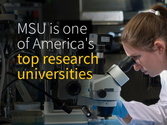 A female researcher wearing a Montana State University lab coat and blue gloves examines a sample under a microscope in a laboratory setting. The background includes scientific equipment and workstations. White and yellow text over the image reads, "M | MSU