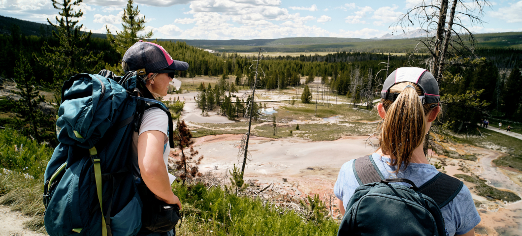 MSU undergraduates visit Yellowstone backcountry for unique research  experience