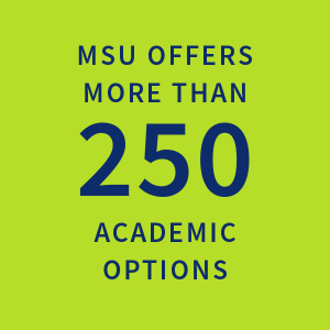 MSU offers more than 250 academic options | 