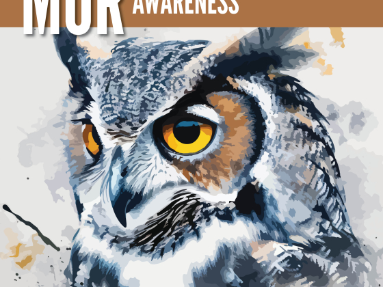 MOR Awareness banner with watercolor owl