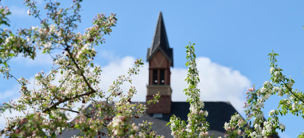 A photograph capturing a spring scene on the Montana State University campus, featuring blooming tree branches with delicate pink and white flowers in the foreground. In the background, the pointed steeple of a historic red-brick building rises against a  | Colter Peterson/MSU