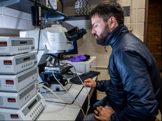 Kevin Hammonds sitting at a microscope in a lab. | MSU photo by Kelly Gorham