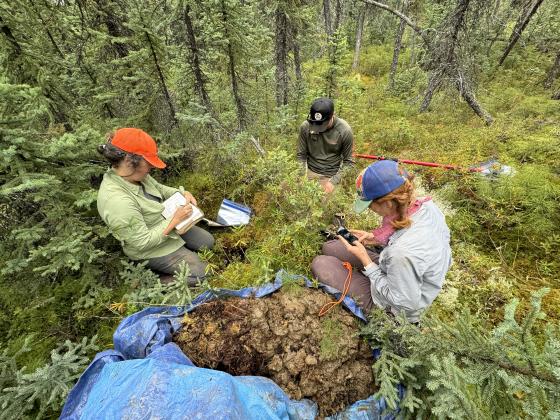 A group of people kneeling in the forest looking at scientific instruments | 