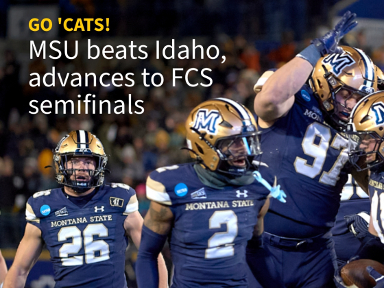 Montana State University football players in blue and gold uniforms celebrate on the field after a victory, with the text overlay: 'GO 'CATS! MSU beats Idaho, advances to FCS semifinals.' | Kelly Gorham/MSU