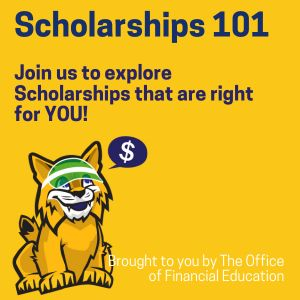 Scholarships 101