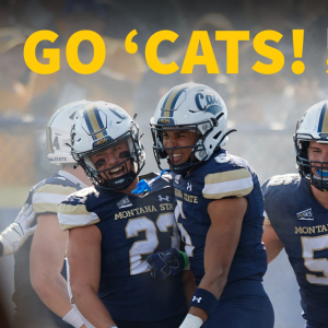 The image is a promotional graphic for the "Brawl of the Wild" football game featuring Montana State University. The text reads, "GO 'CATS! Brawl of the Wild football, Saturday at noon." The background shows a group of MSU football pla