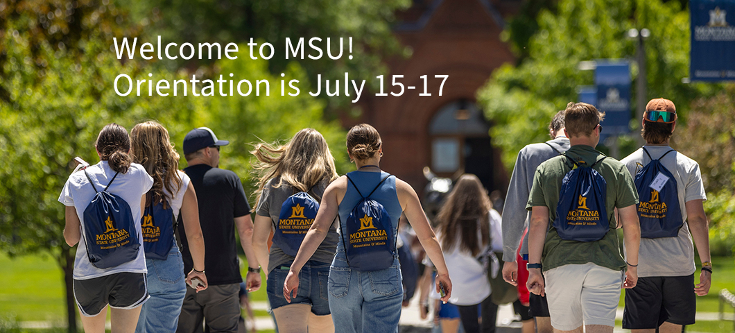 A group of students is walking away from the camera on a sunny day at Montana State University (MSU). They are wearing casual summer clothing and blue drawstring backpacks with the MSU logo. Trees and campus buildings line the path they are walking on. Te | MSU