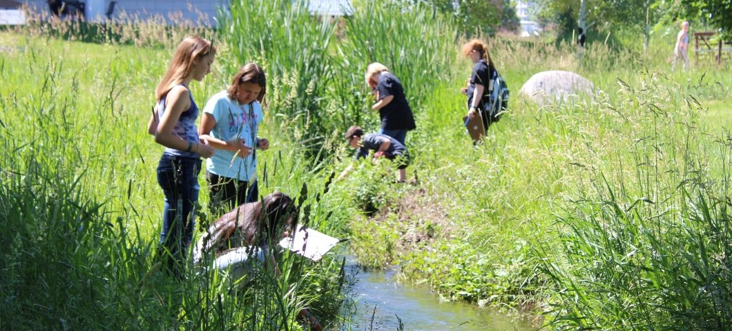 Exploring nature during winter - MSU Extension