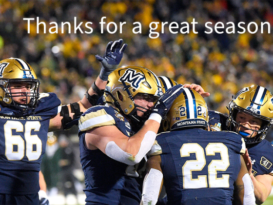 Montana State University football players in blue and gold uniforms celebrate on the field with raised arms and helmets, surrounded by cheering fans in the stands. Text overlay reads, 'Thanks for a great season, ’Cats!' | Colter Peterson/MSU