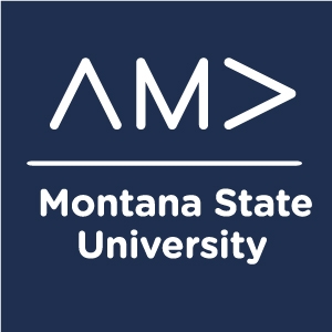 MSU AMA logo