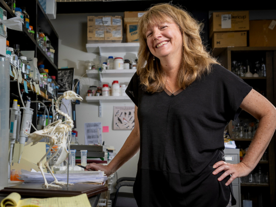 Dana Rashid standing next to a chicken skeletal model in a lab. | MSU photo by Marcus “Doc” Cravens