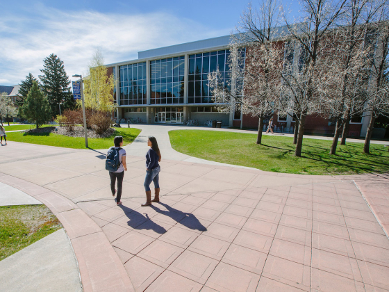 People walking past the MSU library | MSU photo by Adrian Sanchez-Gonzalez