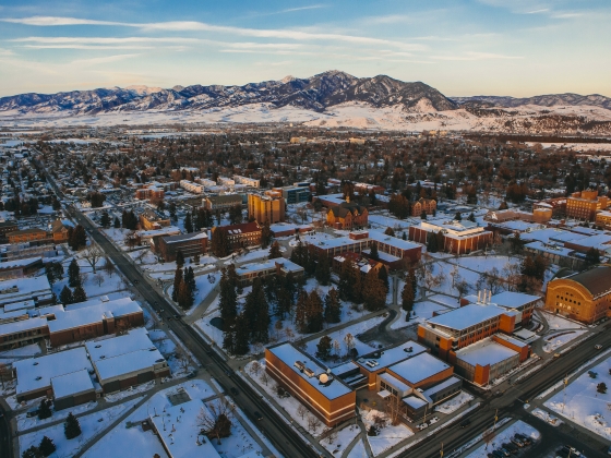 About Montana State University, Bozeman, MT