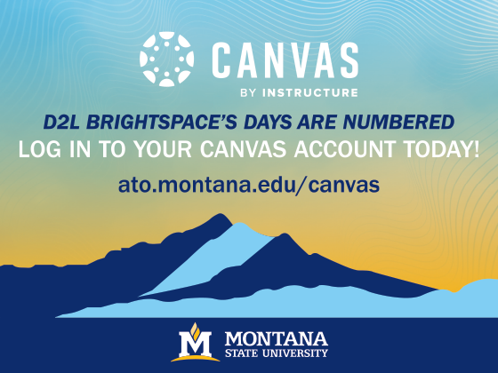 Canvas learning management | 