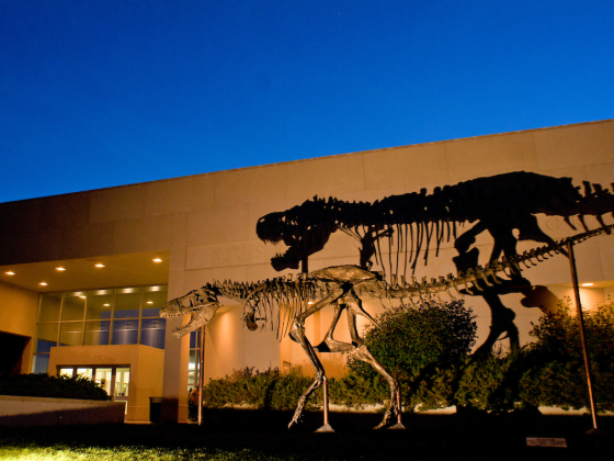 Big Mike in front of the Museum of the Rockies.  | 