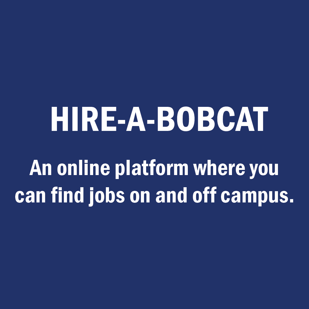 hireabobcat