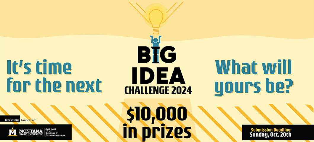 Big Idea Challenge