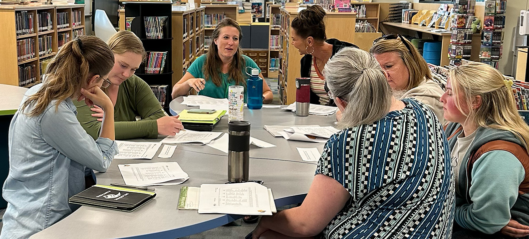 Professional Development sessions surrounding English Language Learner Pedagogy and procedure. 