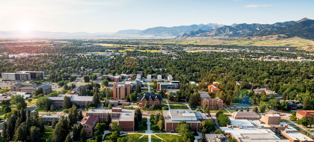 aerial MSU campus photo