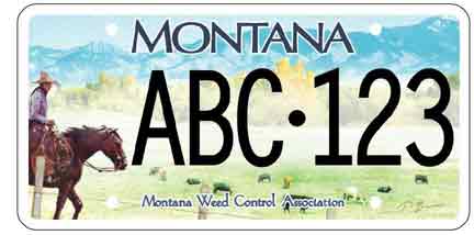 MSU News Montana Weed Control Association offers specialty plate