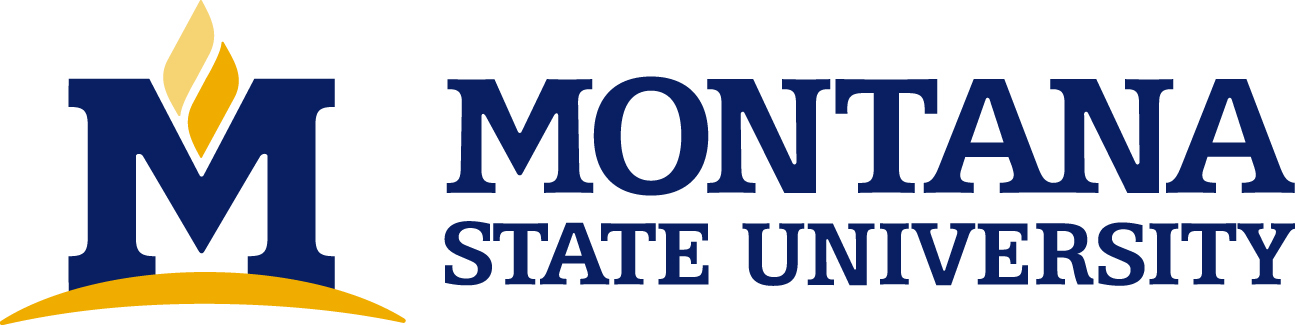 Montana State University Logo Download Page Creative Services Montana State University
