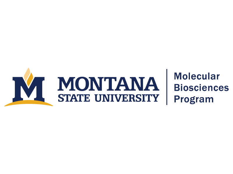 The hoirzontal MSU logo with a unit identifier saying "Molecular Biosciences Program"