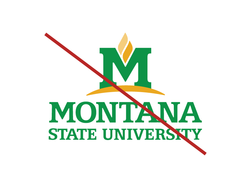 A picture of the MSU logo but in non branded colors. A red line is diagonally crossed over the logo to indicate the logo does not follow the MSU brand standards.