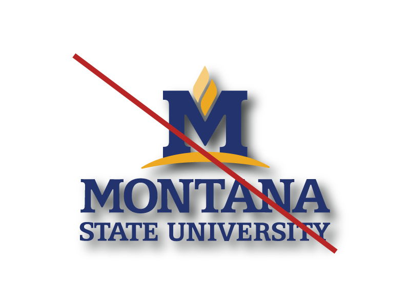 A picture of the MSU logo but with a drop shadow. A red line is diagonally crossed over the logo to indicate the logo does not follow the MSU brand standards.