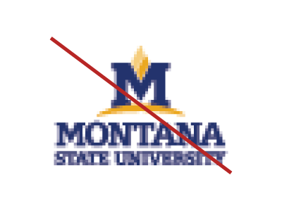 A low resolution picture of the MSU logo. A red line is diagonally crossed over the logo to indicate the logo does not follow the MSU brand standards.