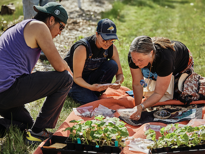 Sloan Scholars kneel as they plant seeds into the ground.