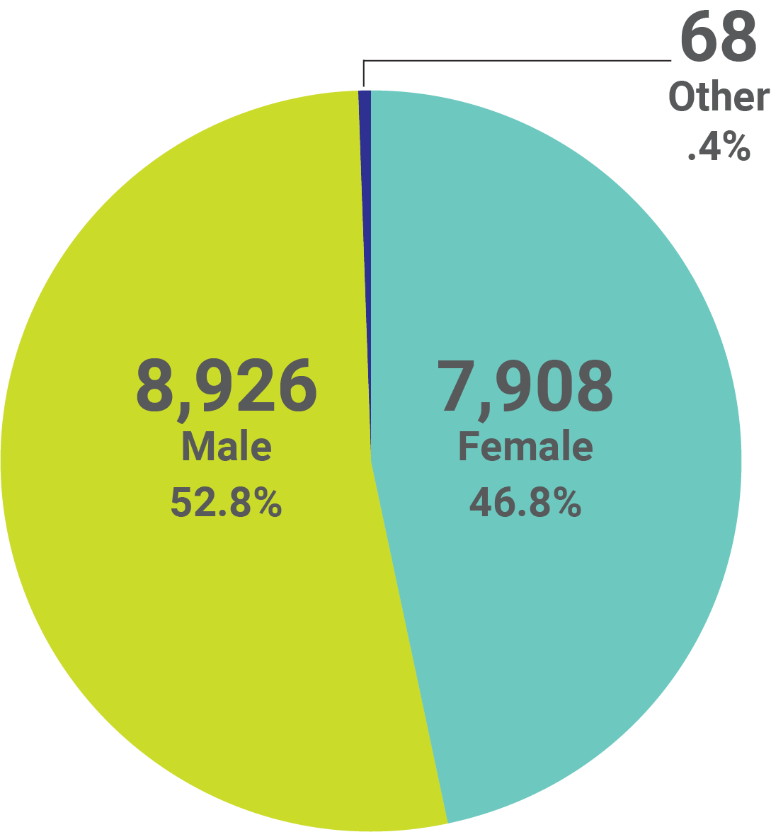 Diversity at a Glance - Diversity & Inclusion Support | Montana State ...