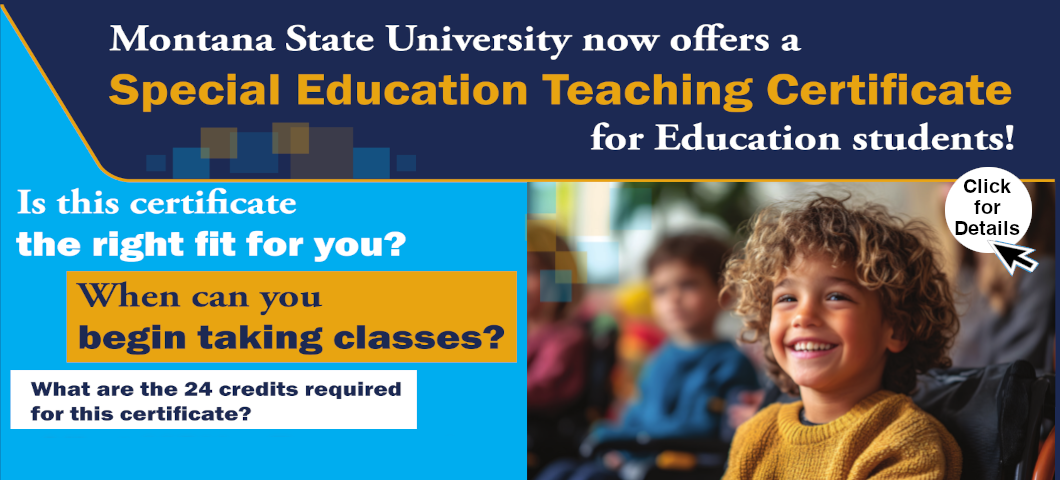 Special Education Teaching Certificate