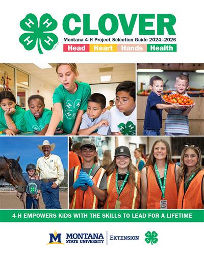 2024-2026 Clover Guide