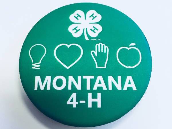 montana 4-H Magnet