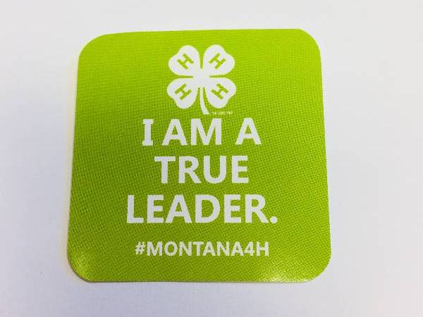 true leader sticker