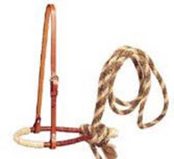 a simple horse halter made of leather with a braided rope tied to it, designed to fit around the horse's head for leading or securing it without the use of a bit.