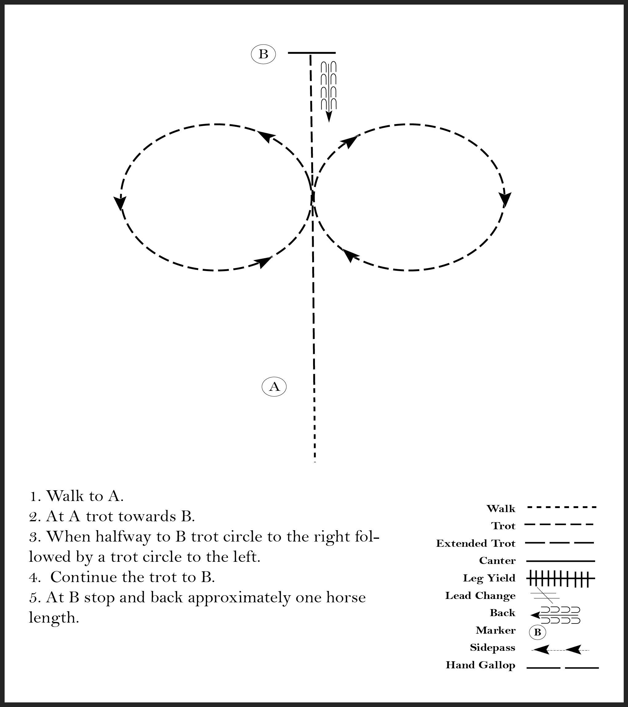 This diagram shows the steps for a horse showmanship pattern where the participant walks, trots a circle to the right, trots a circle to the left, stops, and backs up one horse length.