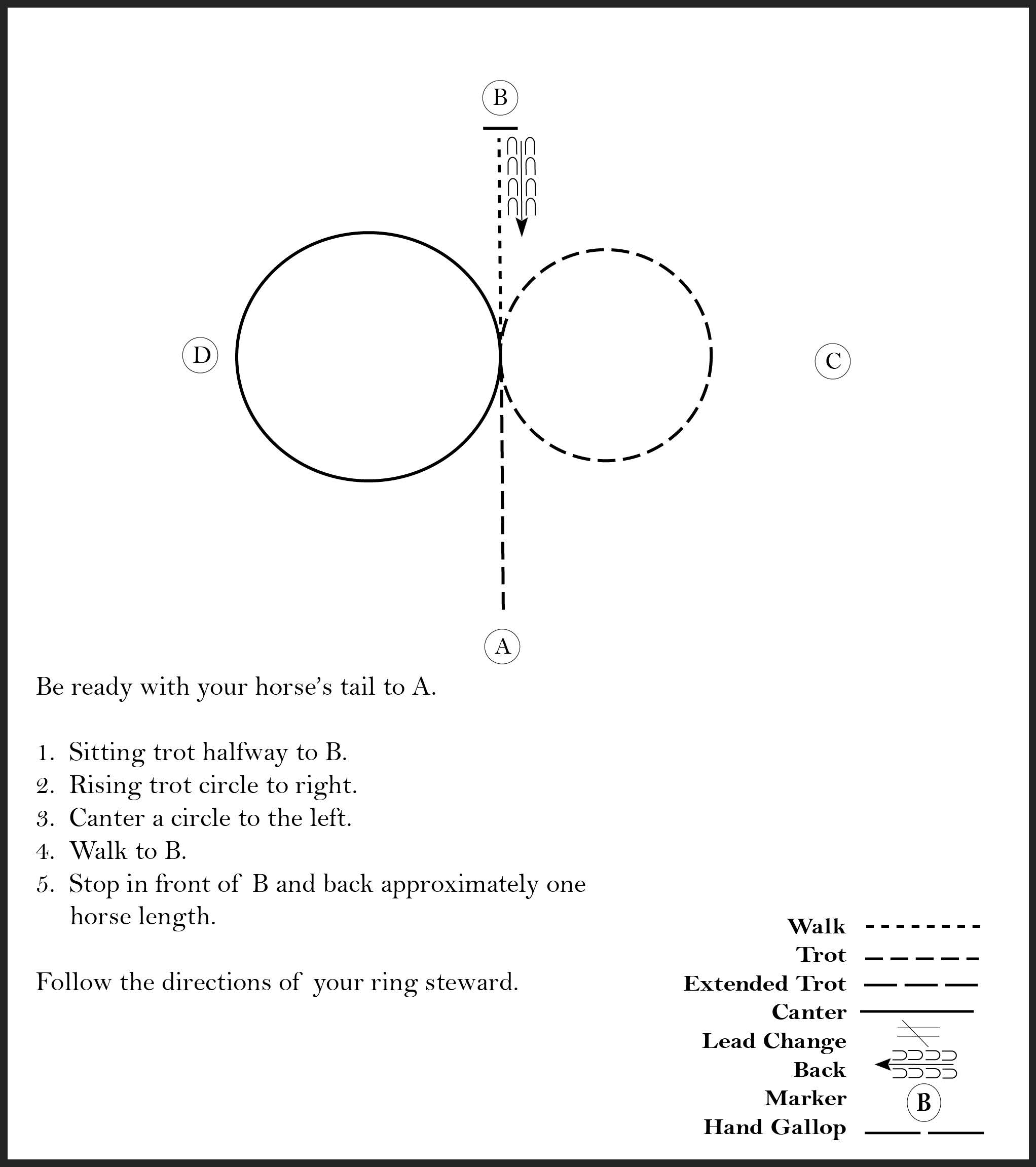 This diagram shows the steps for a horse showmanship pattern where the participant trots, does a rising trot circle, canters a circle, walks, stops, and backs up one horse length.